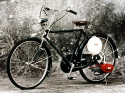 Honda 1952 Cub F