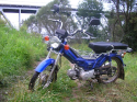��� ����� ���-Lifan