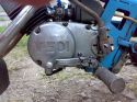 ���� �501