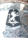 ��������� - ���� 2009 (1)