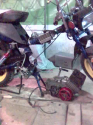 Simson i stella