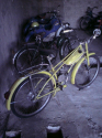 ziff-77