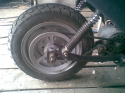 elscoot