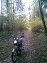 ����� 2009