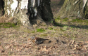 � 2