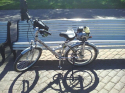 ������ ����
