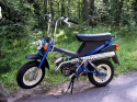 Stella 1993�.