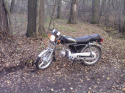 ����� 2009. ��� ������ � � ���� - ������