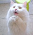 ����